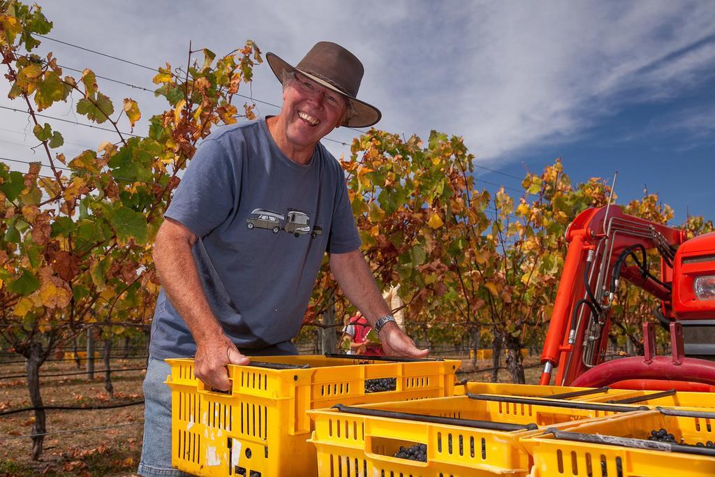 Straw Lodge Vineyard And Boutique Lodging Renwick Εξωτερικό φωτογραφία