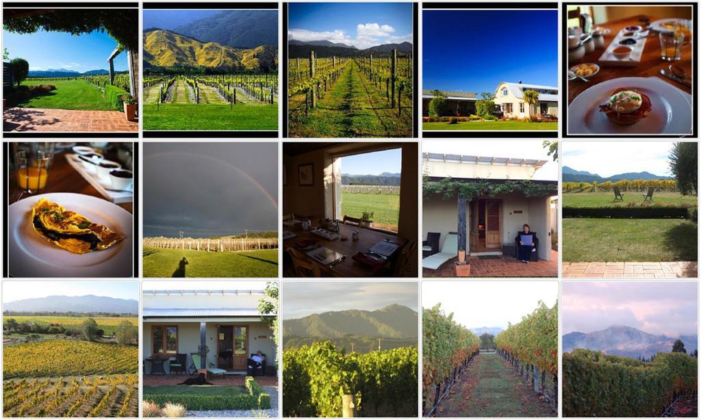 Straw Lodge Vineyard And Boutique Lodging Renwick Εξωτερικό φωτογραφία